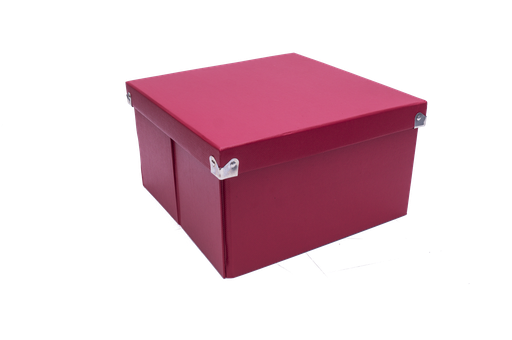 [PNS02LSRD] CAJA DE ARCHIVO ROJA MEDIUM SQUARE 9.75X 